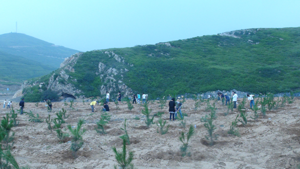 神達花溝煤業(yè)員工風采之植樹